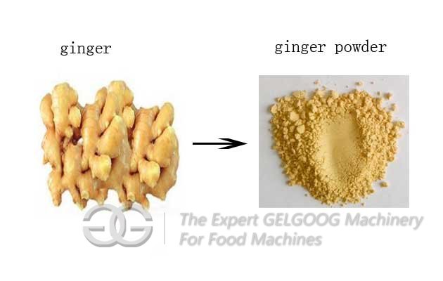 Machine Processing Ginger Powder