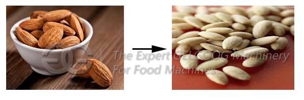 Peeling Machine for Almond Skin