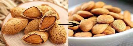 automatic almonds shells removing machine