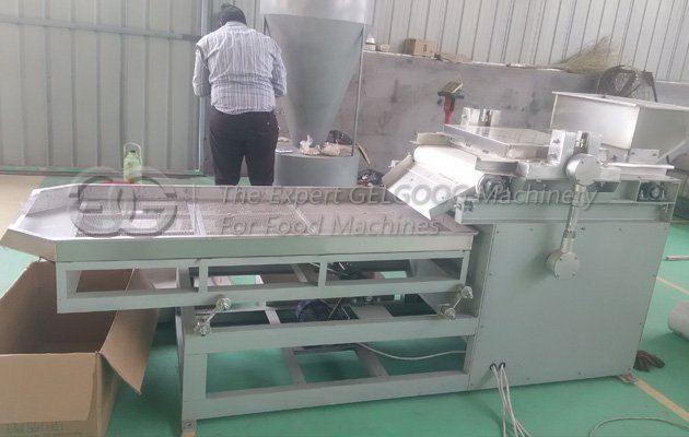 macadamia nut chopping cutting machine