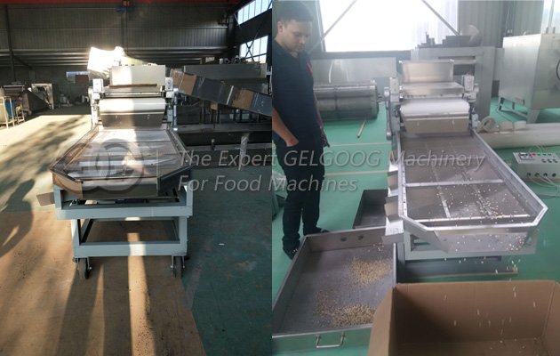 Macadamia Nut Chopping Cutting Machine Sold To Australia