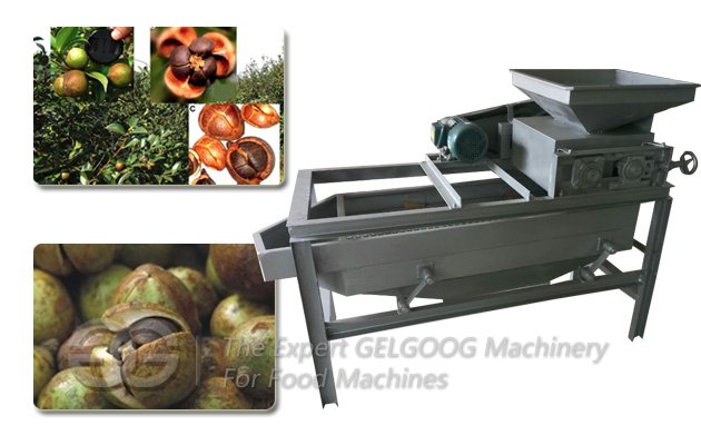 Camellia Fruit Shell Cracking Machine|Camellia Fruit Shelling Machine
