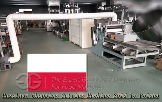 Hazelnut Chopping Cutting Machine Sold To Poland
