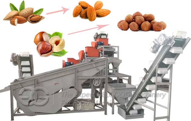 Hazelnut Shelling Line For Sale