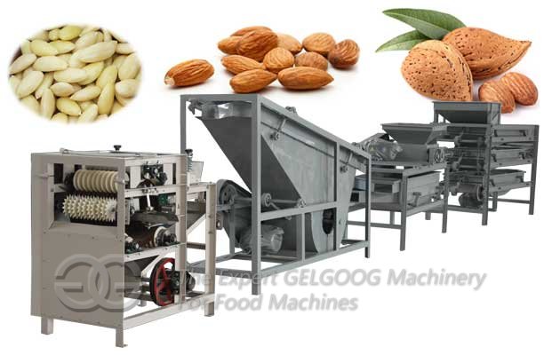 Best Price Almond Shelling Peeling Production Line