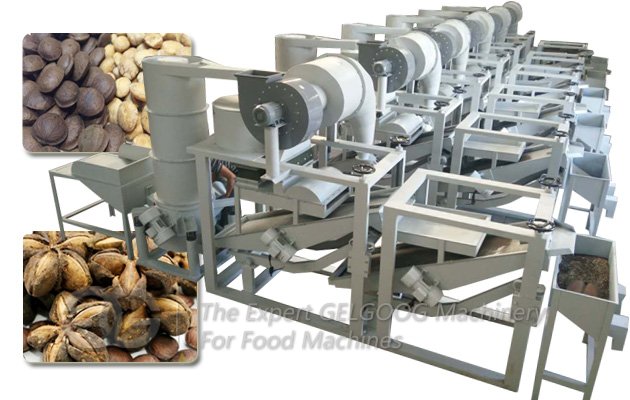 Commercial Inchi Nut Hulling Production Line