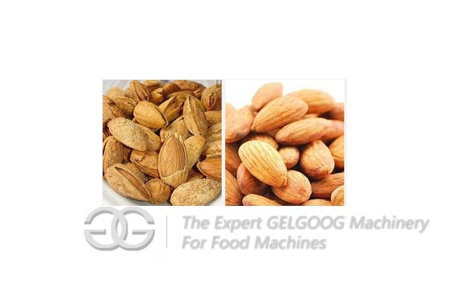 almonds shelling machine with high quality 