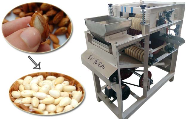 Almond Peeling Machine for Sale