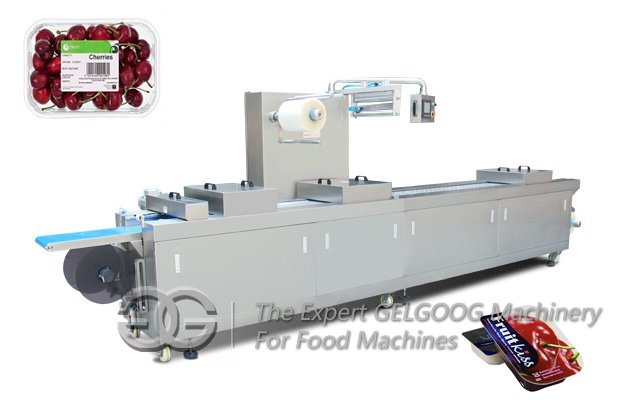 vacuum packing machine