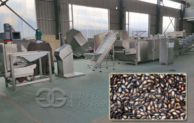 Melon Seed Roasting Machine