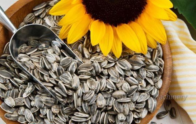 Roaster for Sunflower Seeds