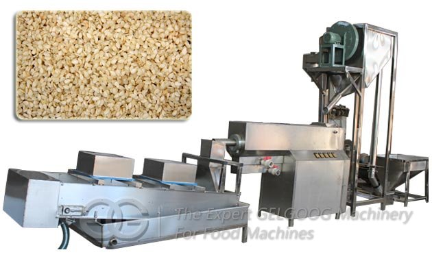 Sesame Seed Washing Drying Equipment