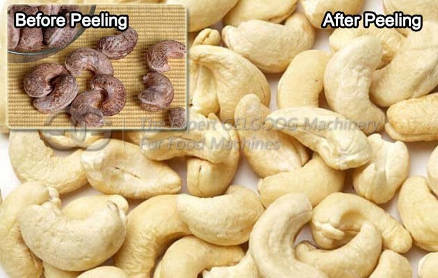 Peeling Machine for Cashew Nut