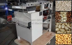 Almond Wet Peeling Machine Sold To India