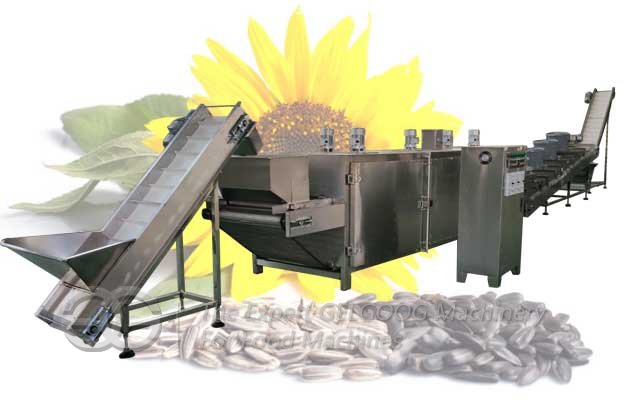 Sunflower Seed Roaster Machine