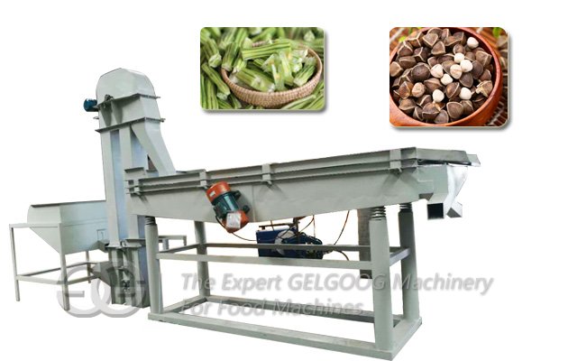 Moringa Seeds Shelling Machine Price