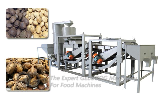 Inchi Nuts Shelling Processing Line