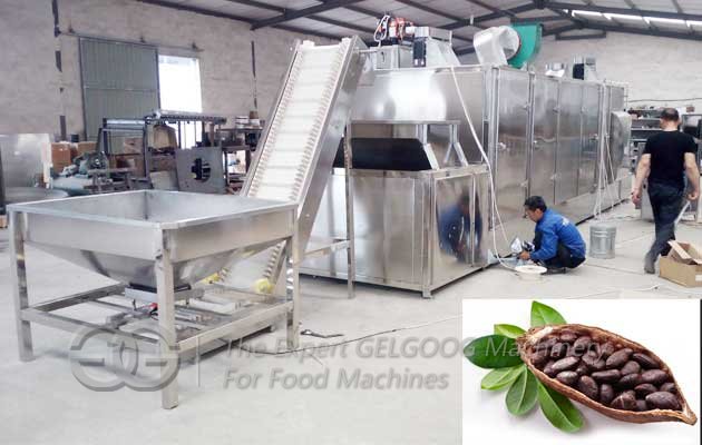 cocoa bean roasting machine design