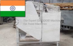 Wet Almond Peeling Machine Sold To India