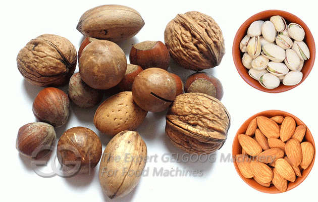 Pine Nut 