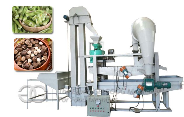 Good Quality Moringa Seeds Dehulling Dehuller Machine