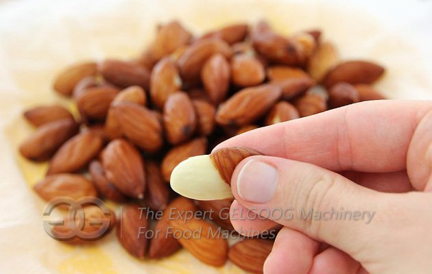 Wet Almond