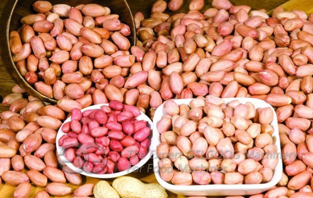 Roaster Machine for Peanuts