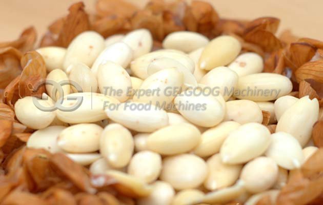 Almond Peeler Machine Price