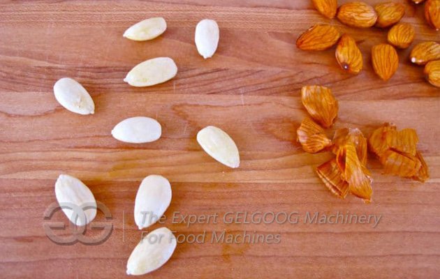 Wet Almond Skin Peeling Machine