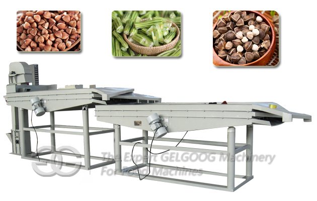 Moringa Seeds Dehulling Machine